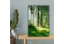 OneMillionCanvasses® Leinwandbild Wald Grün Natur Bild 5