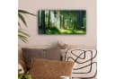 OneMillionCanvasses® Leinwandbild Panorama Natur Bäume Wald Grün Sonne Gras Pflanzen Fotodruck Wandbild Deko Bild 1