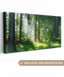 OneMillionCanvasses® Leinwandbild Panorama Natur Bäume Wald Grün Sonne Gras Pflanzen Fotodruck Wandbild Deko Bild 2