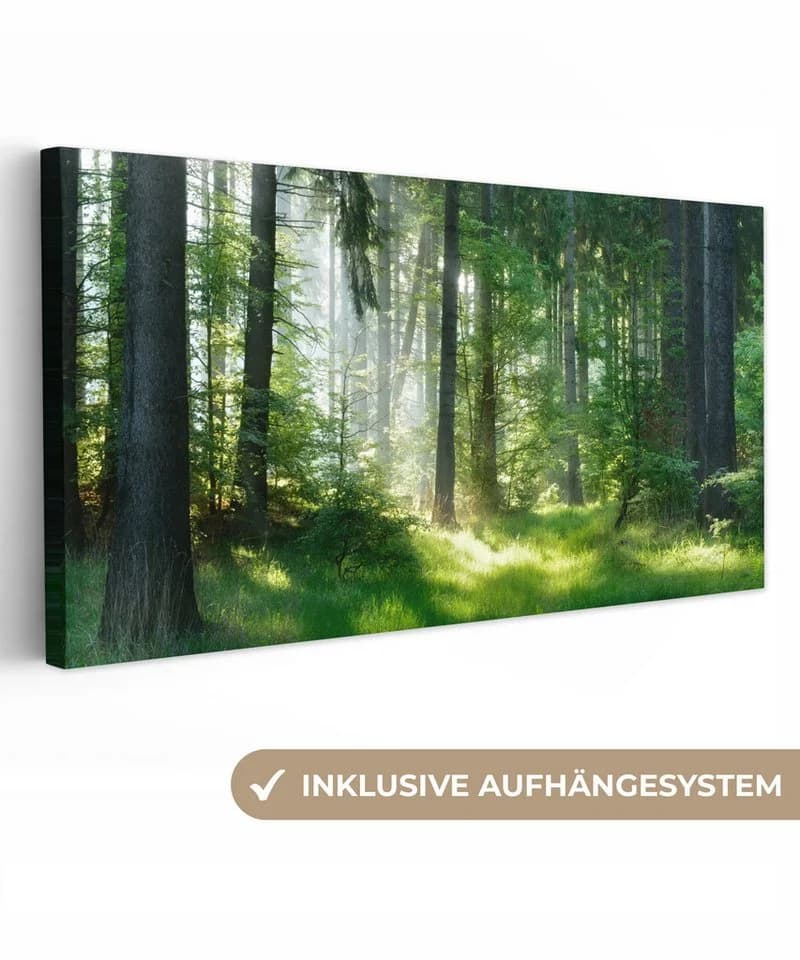 OneMillionCanvasses® Leinwandbild Panorama Natur Bäume Wald Grün Sonne Gras Pflanzen Fotodruck Wandbild Deko - Bild 2