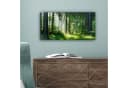 OneMillionCanvasses® Leinwandbild Panorama Natur Bäume Wald Grün Sonne Gras Pflanzen Fotodruck Wandbild Deko Bild 5