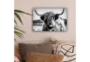 OneMillionCanvasses® Leinwandbild Schottischer Highlander Schwarz-Weiß Bild 1