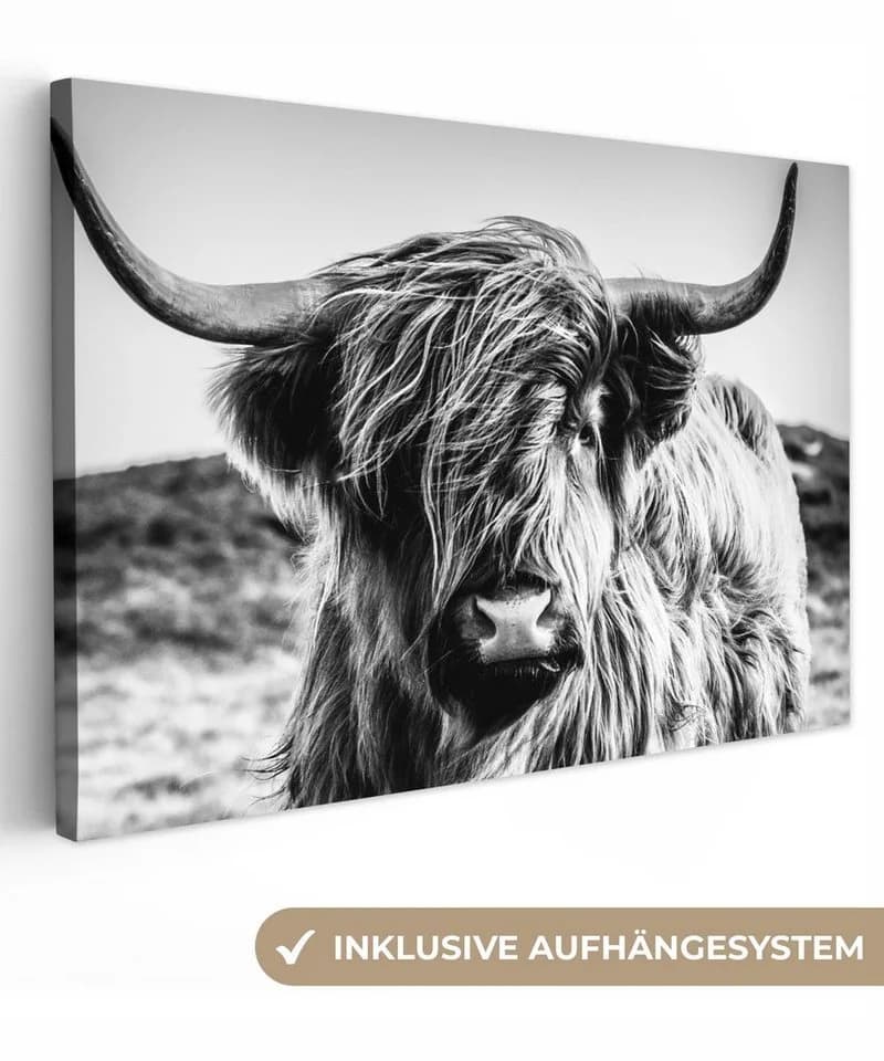 OneMillionCanvasses® Leinwandbild Schottischer Highlander Schwarz-Weiß - Bild 2