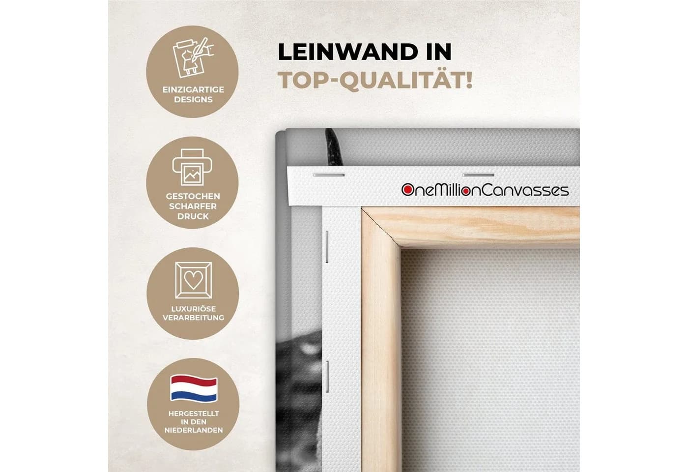 OneMillionCanvasses® Leinwandbild Schottischer Highlander Schwarz-Weiß - Bild 3
