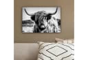 OneMillionCanvasses® Leinwandbild Schottischer Highlander Schwarz-Weiß Bild 4
