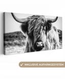 OneMillionCanvasses® Leinwandbild Panorama Schottischer Highlander - Natur - Kuh - Schwarz - Weiß Bild 2
