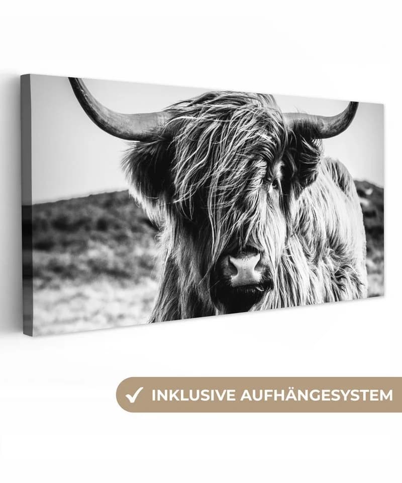 OneMillionCanvasses® Leinwandbild Panorama Schottischer Highlander - Natur - Kuh - Schwarz - Weiß - Bild 2