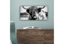 OneMillionCanvasses® Leinwandbild Panorama Schottischer Highlander - Natur - Kuh - Schwarz - Weiß Bild 5