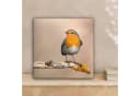 OneMillionCanvasses® Leinwandbild Rotkehlchen 20x20 cm Bild 1