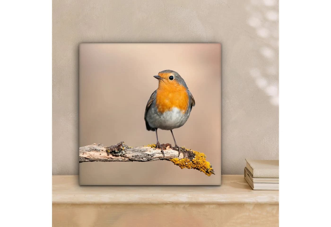 OneMillionCanvasses® Leinwandbild Rotkehlchen 20x20 cm