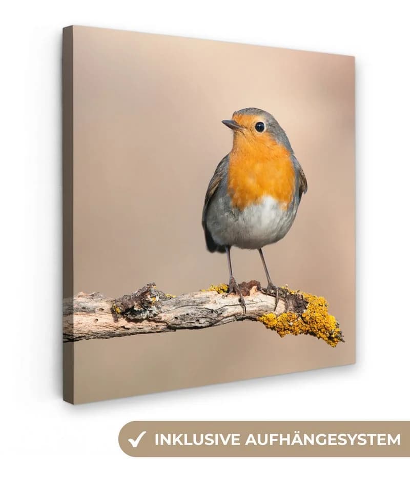 OneMillionCanvasses® Leinwandbild Rotkehlchen 20x20 cm - Bild 2