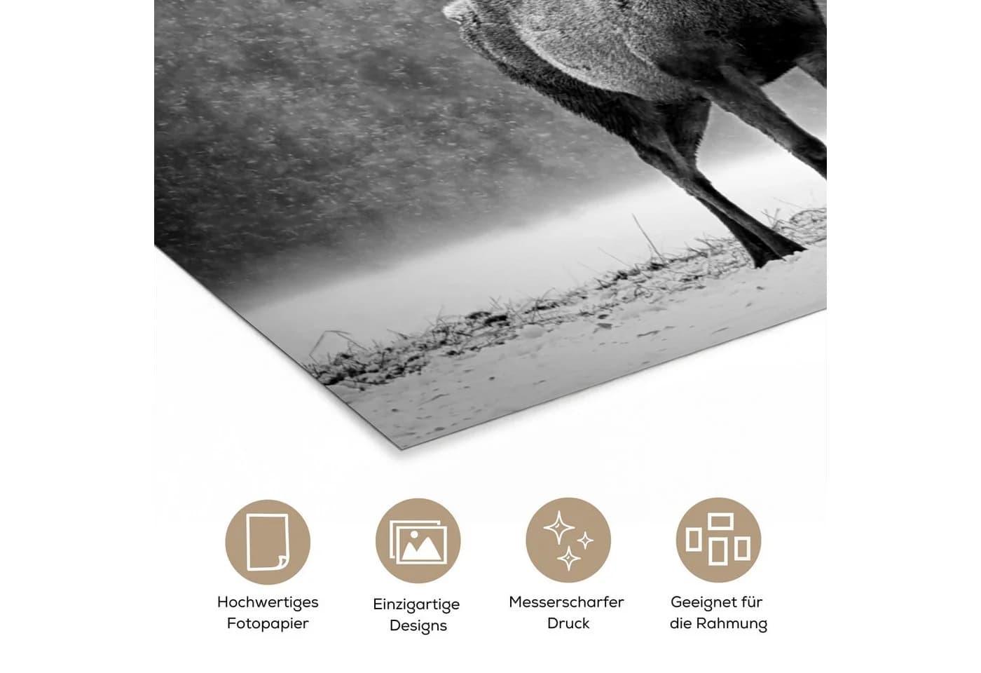 MuchoWow Poster Hirsch Winter Schwarz Weiß 30x20 cm - Bild 3