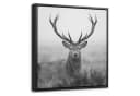 OneMillionCanvasses® Leinwandbild Hirsch Schwarz-Weiß mit Schattenfugenrahmen Bild 2