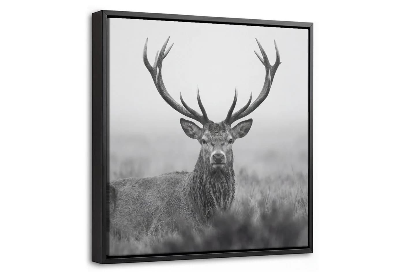OneMillionCanvasses® Leinwandbild Hirsch Schwarz-Weiß mit Schattenfugenrahmen - Bild 2