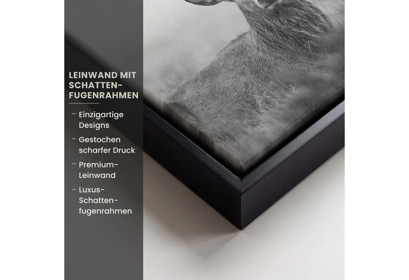 OneMillionCanvasses® Leinwandbild Hirsch Schwarz-Weiß mit Schattenfugenrahmen - Bild 3