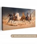 OneMillionCanvasses® Leinwandbild Panorama Pferde Bunt Bild 2