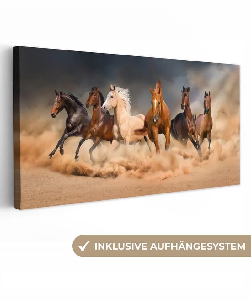 OneMillionCanvasses® Leinwandbild Panorama Pferde Bunt - Bild 2