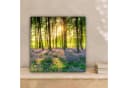 OneMillionCanvasses® Leinwandbild Wald Sonnenuntergang 20x20 cm Bild 1