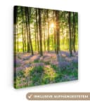 OneMillionCanvasses® Leinwandbild Wald Sonnenuntergang 20x20 cm Bild 2