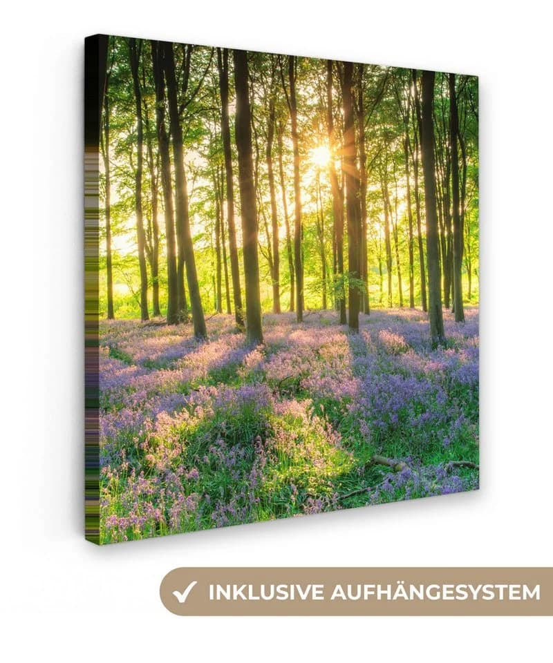 OneMillionCanvasses® Leinwandbild Wald Sonnenuntergang 20x20 cm - Bild 2