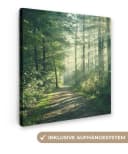 OneMillionCanvasses® Leinwandbild Waldweg Grün Natur Bild 2