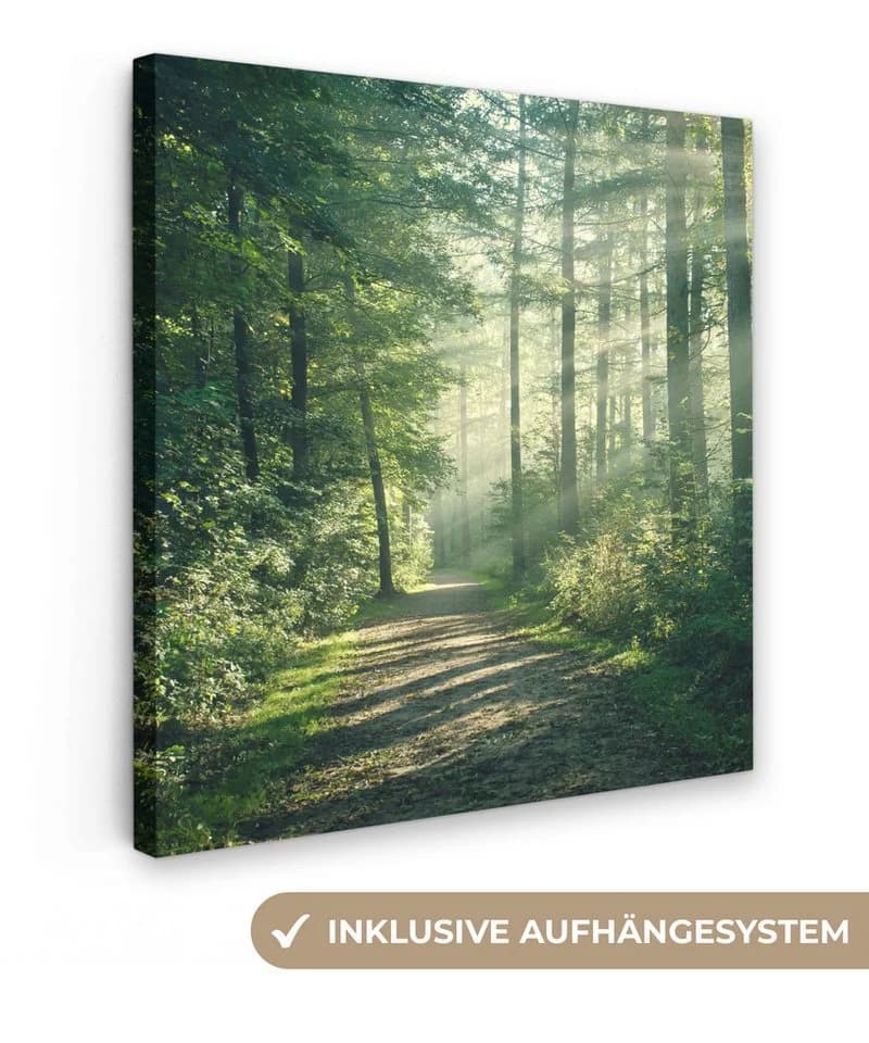 OneMillionCanvasses® Leinwandbild Waldweg Grün Natur - Bild 2