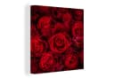 OneMillionCanvasses® Leinwandbild Rote Rosen 20x20 cm Bild 2
