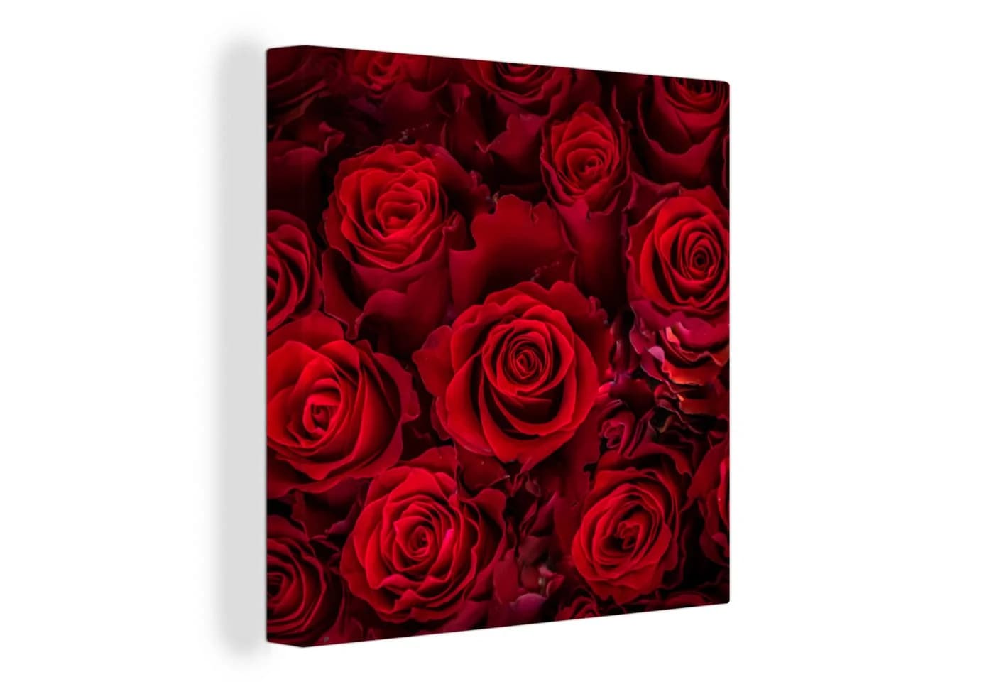 OneMillionCanvasses® Leinwandbild Rote Rosen 20x20 cm - Bild 2