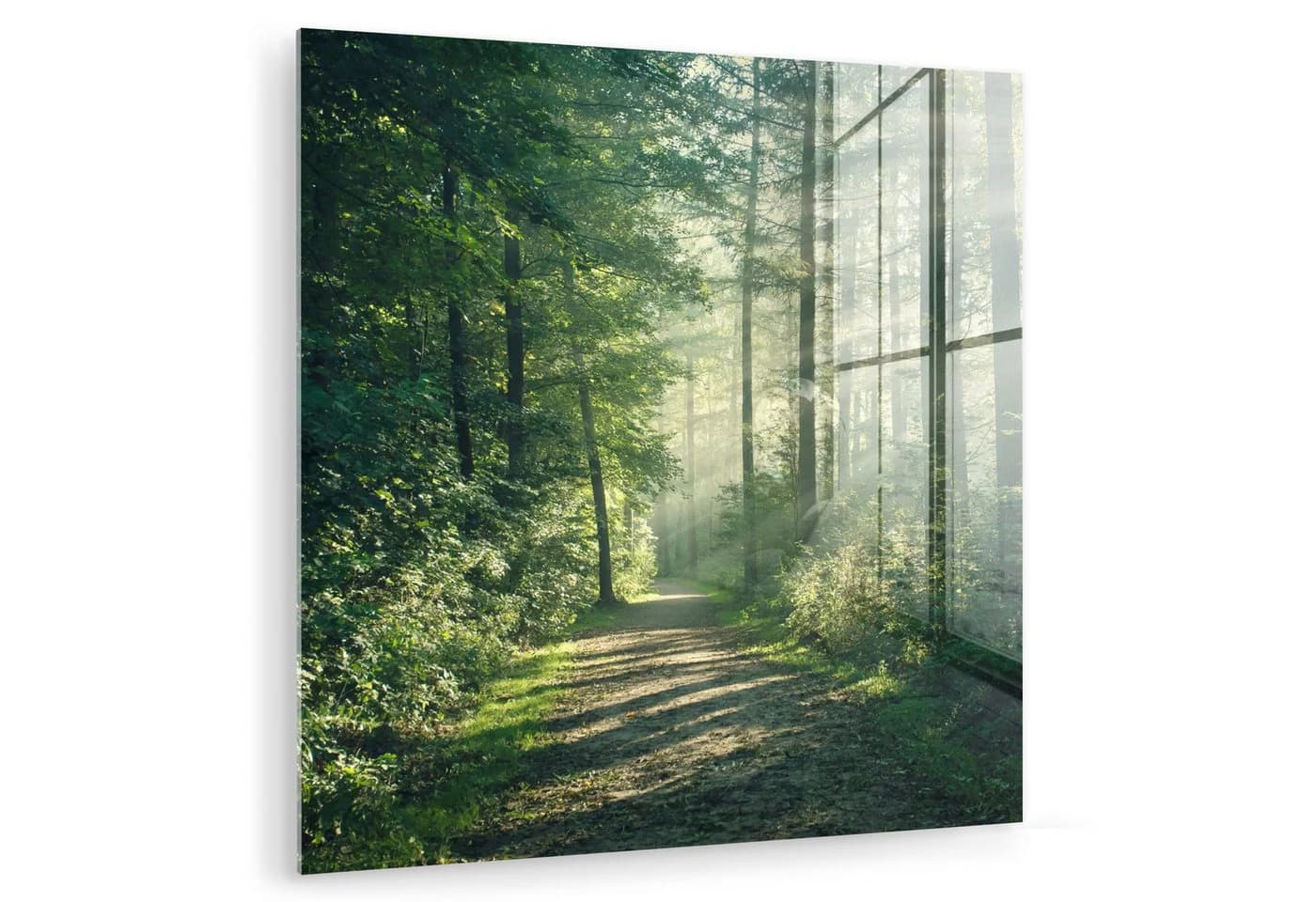 MuchoWow Acrylglasbild Waldweg Grün Modern - Bild 2