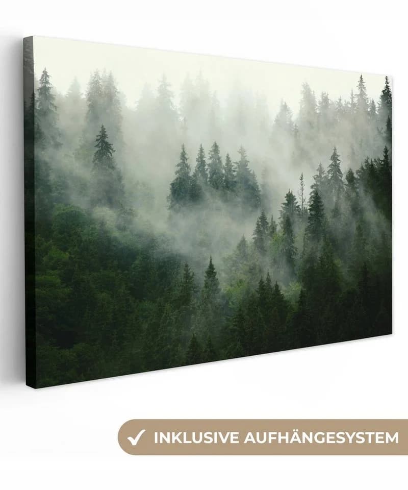 OneMillionCanvasses® Leinwandbild Wald Nebel Natur 30x20 cm - Bild 2