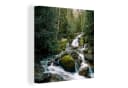 OneMillionCanvasses® Leinwandbild Natur Wasserfall Herbst Bäume Bild 2