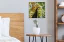 OneMillionCanvasses® Leinwandbild Baum Natur Wald 20x20 cm Bild 4
