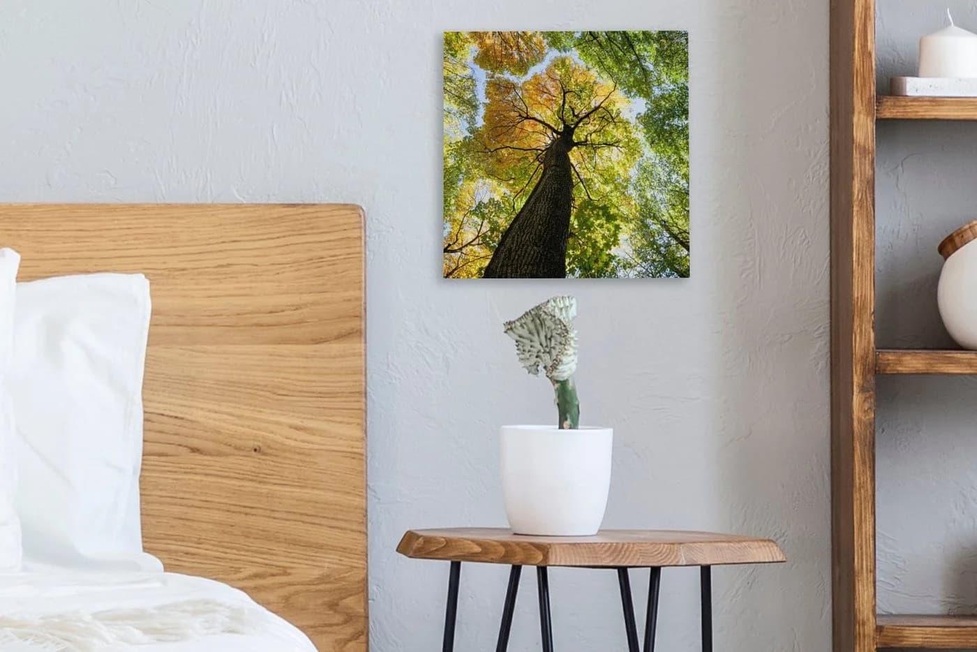 OneMillionCanvasses® Leinwandbild Baum Natur Wald 20x20 cm - Bild 4