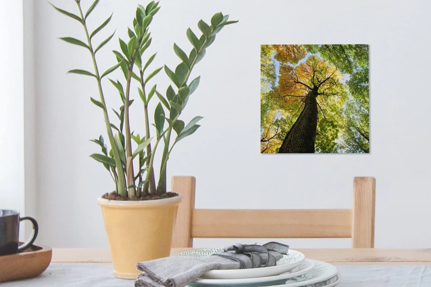 OneMillionCanvasses® Leinwandbild Baum Natur Wald 20x20 cm - Bild 5