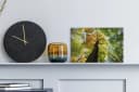 OneMillionCanvasses® Leinwandbild Baum Natur Wald Aesthetic 30x20 cm Bild 1