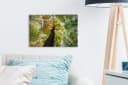 OneMillionCanvasses® Leinwandbild Baum Natur Wald Aesthetic 30x20 cm Bild 3