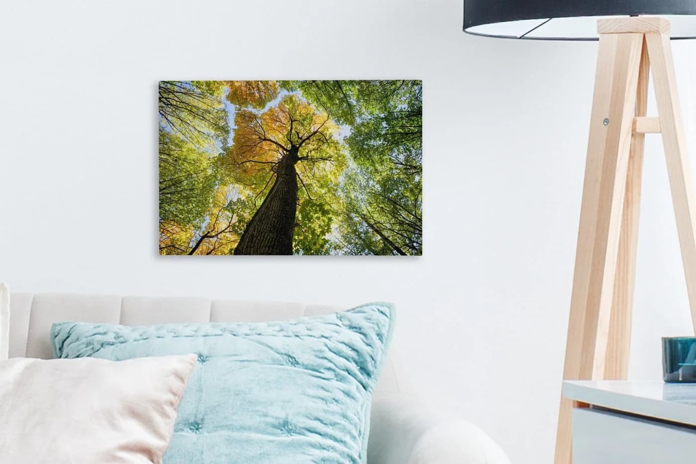 OneMillionCanvasses® Leinwandbild Baum Natur Wald Aesthetic 30x20 cm - Bild 3