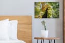 OneMillionCanvasses® Leinwandbild Baum Natur Wald Aesthetic 30x20 cm Bild 4