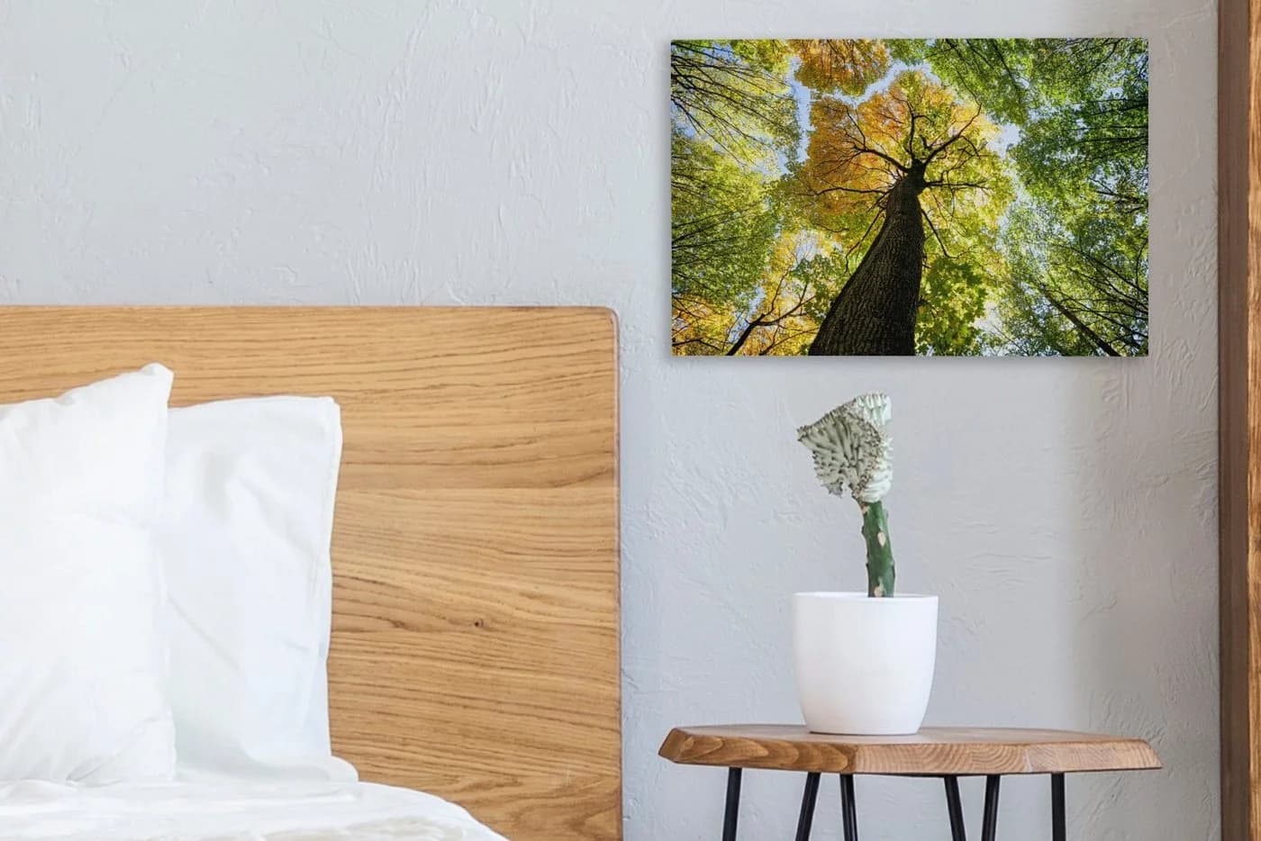OneMillionCanvasses® Leinwandbild Baum Natur Wald Aesthetic 30x20 cm - Bild 4