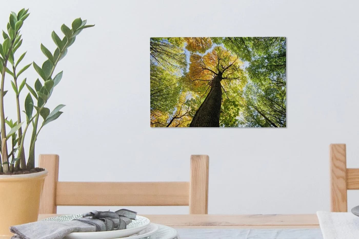 OneMillionCanvasses® Leinwandbild Baum Natur Wald Aesthetic 30x20 cm - Bild 5