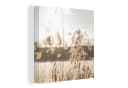OneMillionCanvasses® Leinwandbild Wasser Pampasgras Pflanzen 20x20 cm Bild 2