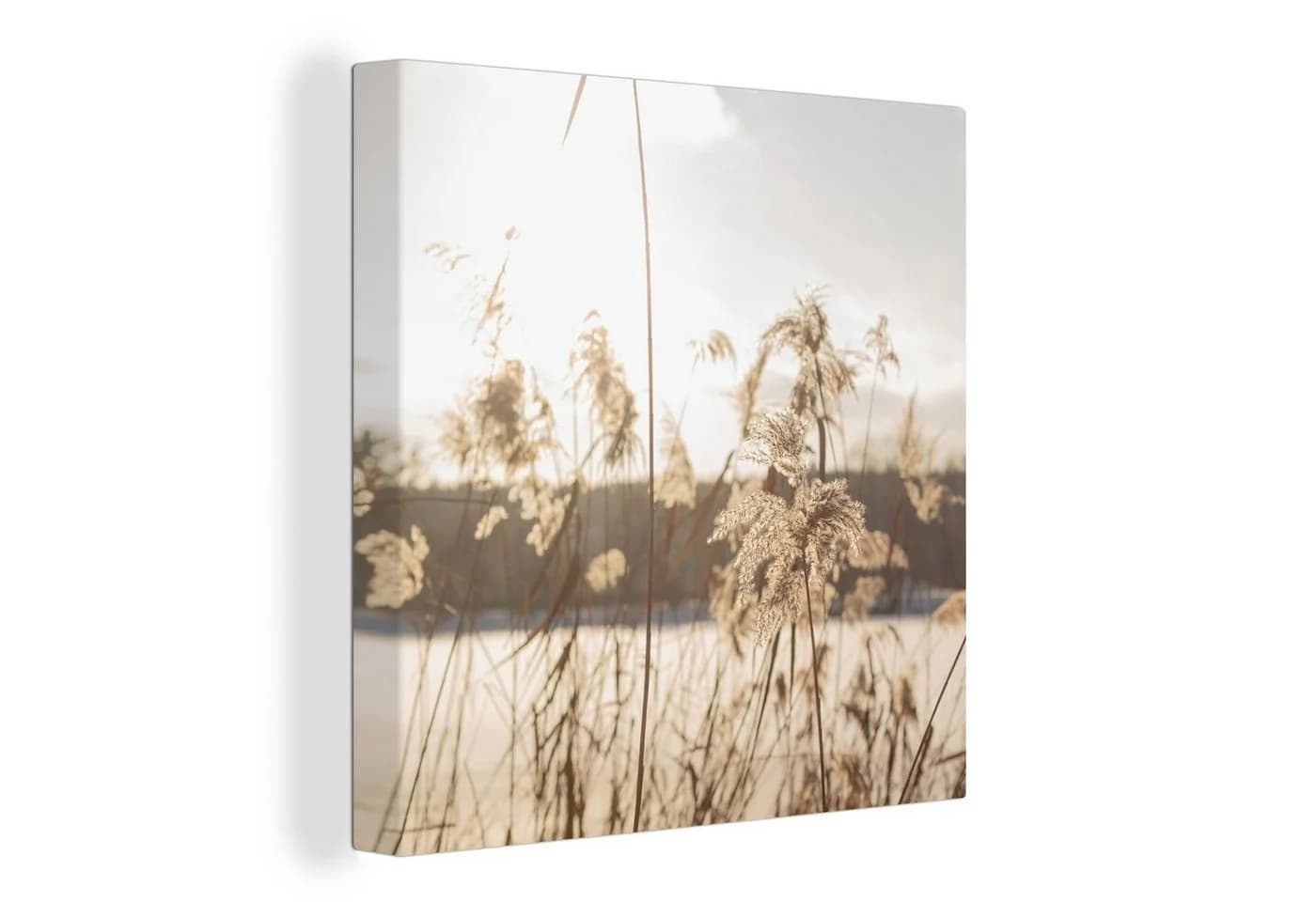 OneMillionCanvasses® Leinwandbild Wasser Pampasgras Pflanzen 20x20 cm - Bild 2