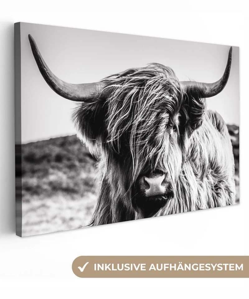 OneMillionCanvasses® Leinwandbild Kuh - Schottischer Hochländer Schwarz-Weiß - Bild 2