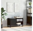 vidaXL Plattenschrank Schwarz Holzwerkstoff Eisenbeine Bild 1