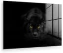 MuchoWow Acrylglasbild Panther Schwarz Orange Bild 2