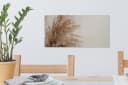 OneMillionCanvasses® Leinwandbild Panorama Gras - Pflanzen - Natur - Pampasgras, Fotodruck Bild 5