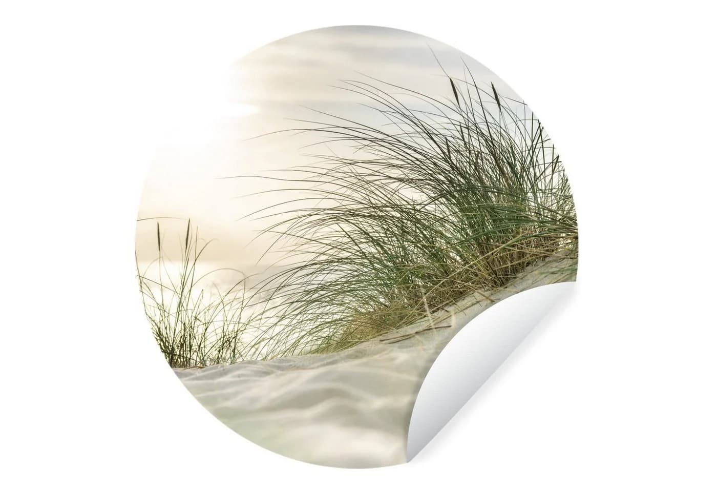 MuchoWow Wandsticker Dünen mit Strandhafer 30x30 cm - Bild 2