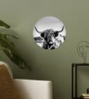 MuchoWow Wandsticker Schottischer Highlander Schwarz-Weiß Bild 3