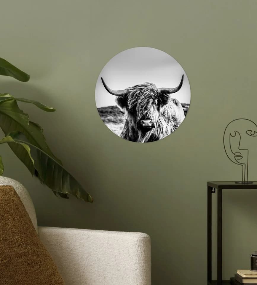 MuchoWow Wandsticker Schottischer Highlander Schwarz-Weiß - Bild 3