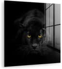 MuchoWow Acrylglasbild Panther Schwarz 3D-Effekt Bild 2